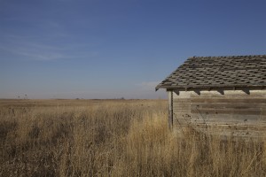 NE CRP and shed med res