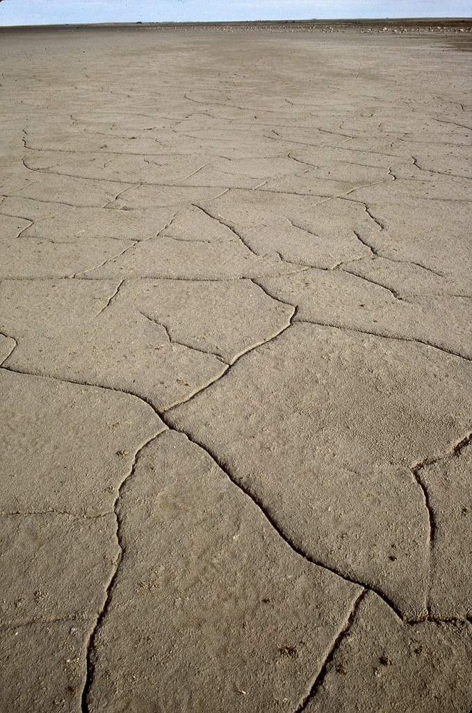 Drought on a federal marsh in the Dakotas