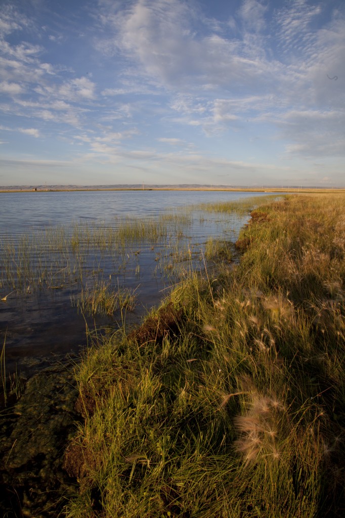 Laramie plains wetland