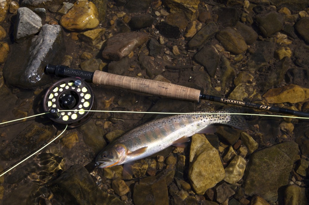 cutthroat LaBarge Creek