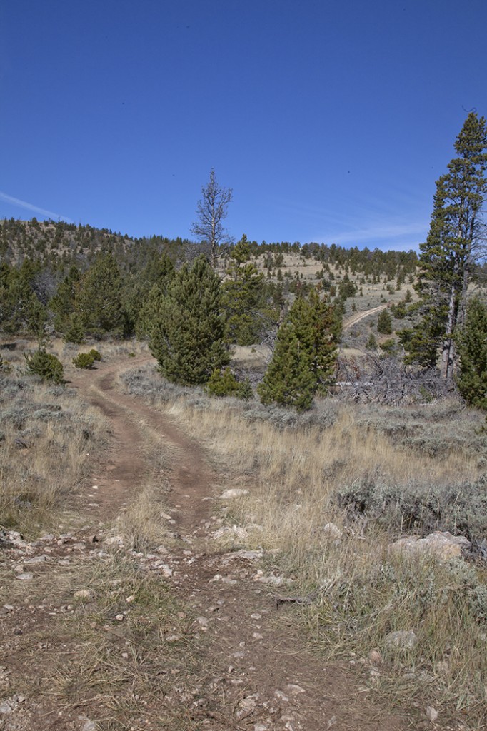 Shirley Mt ATV track 1